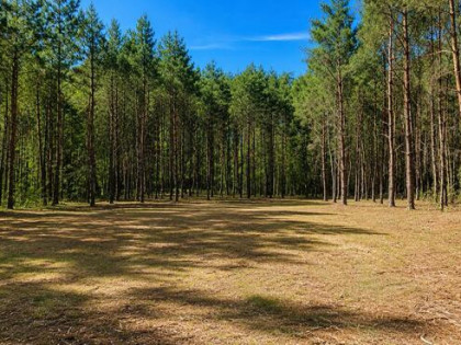 Działka budowlana 2561m2 Poznań/Gniezno