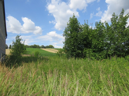 Działka Proszowice