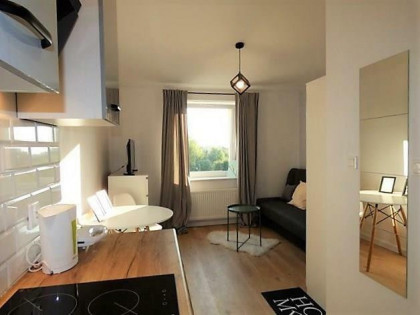 Piwna 12, jasne studio 16 m² blisko Manufaktury