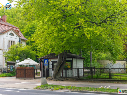 Lokal Gdańsk Wrzeszcz ul. Jaśkowa Dolina