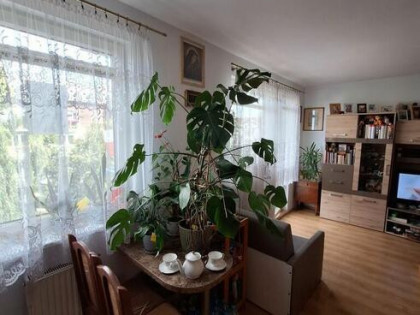 2 pokoje | balkon | piwnica | Kokoszki