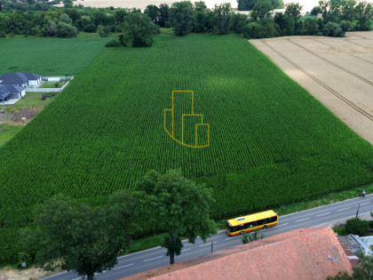 Szukalice, Żórawina, działka inwestycyjna 43,10 ha