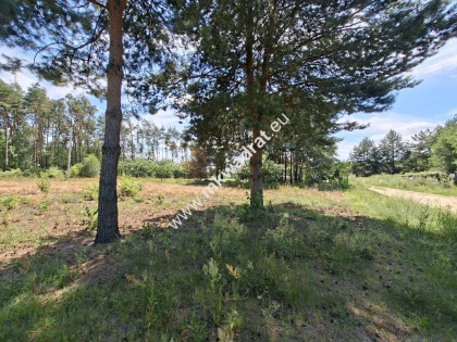 Działka przy lesie – natura, doskonała komunikacja