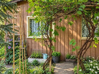 Działka ROD NENUFAR w Ostródzie – 270 m², dostęp do jeziora