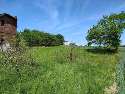 Działka Dzimierz