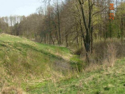 Sprzedam/Wydzierzawie działka siedliskowa 0.5H