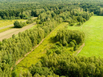 Działka rolna 71 arów Bidoliny Radłowskie