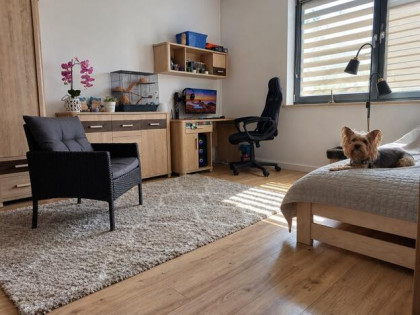 DOM NA SPRZEDAŻ 192,99 m² DZIAŁKA OK. 900 m²