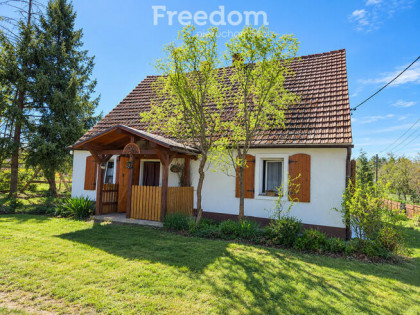 Dom 80 m² na działce 17,6 ara | Rąpice przy granicy