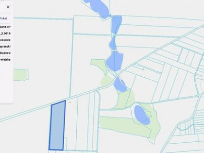 Atrakcyjny grunt rolny – 6,96 ha w Nowej Wsi