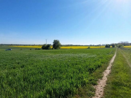 Działka Nad Morzem- Okazja!