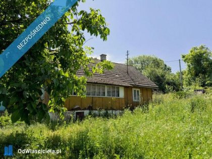 Dom drewniany z dużym ogrodem i budynkami gospodarczymi