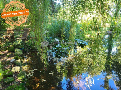 DOM Z DUSZĄ | STAW | OGRÓD | KOMINEK | STARODRZEW