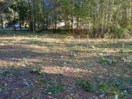 Sprzedam działkę o powierzchni 1382m2