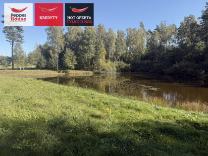 Działka Nowa Karczma Horniki Górne ul. Horniki Górne