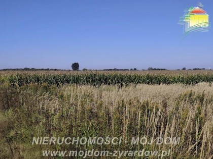 Działka Kamionka