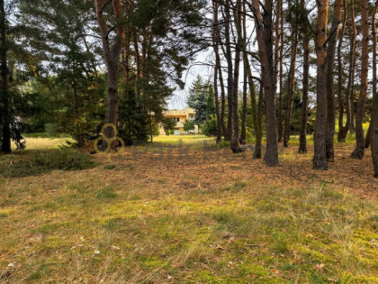 Dom Radzewice gm. Mosina,