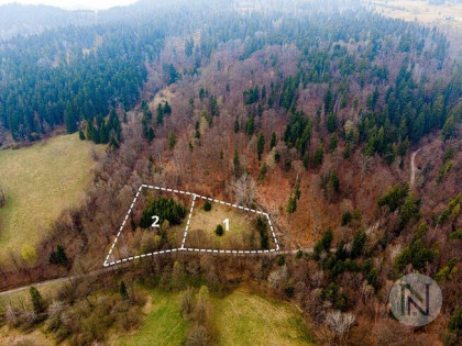Działka budowlana Lutynia gm. Lądek-Zdrój