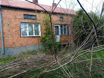 Na sprzedaż gospodarstwo 11,34ha Kisielsk