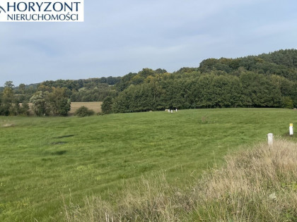Działka budowlana Przodkowo - Bursztynik