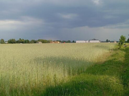Sprzedam działkę budowlaną 1760m, Kownaty, gm. Płońsk ,WZ.