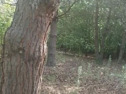 Sprzedam