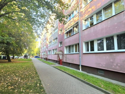 Kawalerka z potencjałem – stwórz przestrzeń według własnego projektu