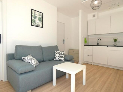 2 pokoje, pet-friendly - Powst.Warszawskich 38C
