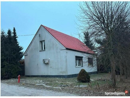 Syndyk sprzeda udział ½ Rogalinek – możliwość zakupu całości