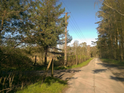 Działka Budzistowo ul. Stare Miasto