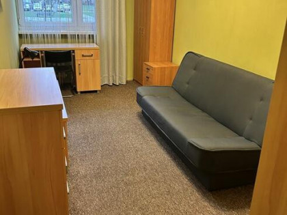 Wynajmę mieszkanie 50m2 w centrum Poznania na parterze