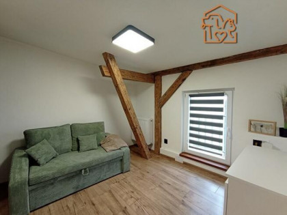 Przytulna kawalerka, pet-friendly - Roosevelta 3