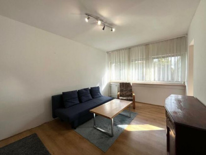Drewnowska 130, Polesie, kawalerka pet friendly