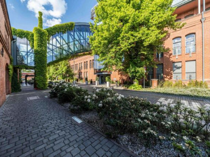 Na wynajem apartament City Park