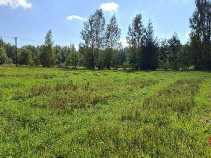 Działka budowlana Łubianka gm. Janów,