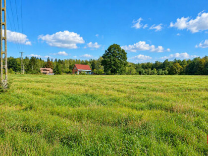 Działka budowlana Łubianka gm. Janów,