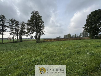 Działka 300 m² z warunkami zabudowy – Kozjaty, gm. Topólka