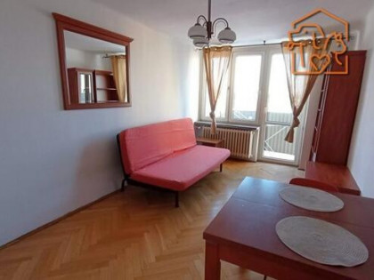 3 pokoje naprzeciwko PL, pet-friendly-Nowomiejska