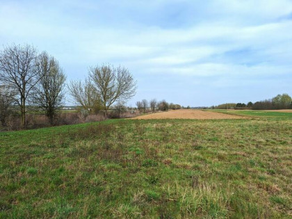 Działka budowlana 2900m2 DOBRZYŃ