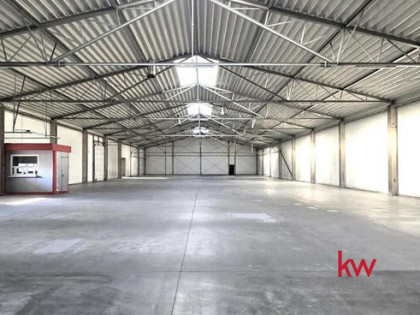 Lokal użytkowy Wągrowiec,
