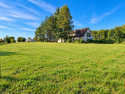 Działka budowlana Krynice gm. Dobrzyniewo Duże,