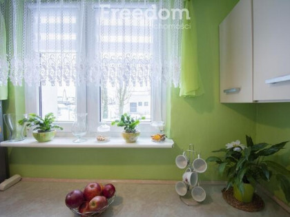 Parter, Jezierzyce Osiedle,2 pokoje, rozkładowe – 43,52 m2