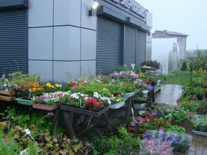 Lokal użytkowy Miłoszyce gm. Jelcz-Laskowice, Przy Lesie