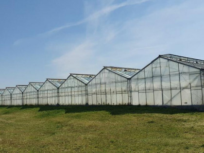Nieruchomość rolna 39,83ha