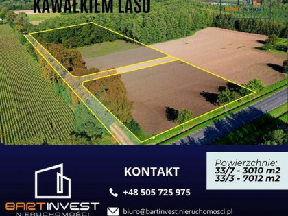 Duża działka budowlana z własnym lasem – 7012 m²