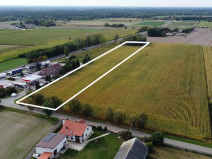 ✅ Sprawdź >>> Działka pod przemysł i usługi - Nowy Reczyn ✅