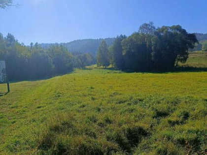 Na sprzedaż nieruchomości gruntowe Trzebieszowice