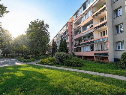 Prywatne Mieszkanie 3 pokoje, piwnica, balkon, niski czynsz