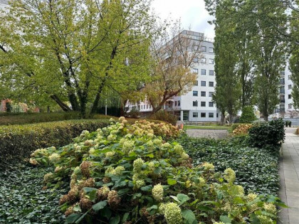 Powierzchnia biurowa Warszawa Śródmieście