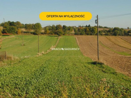 Działka rolna Brzezie gm. Kłaj